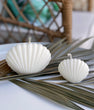 Sea Shell Candle